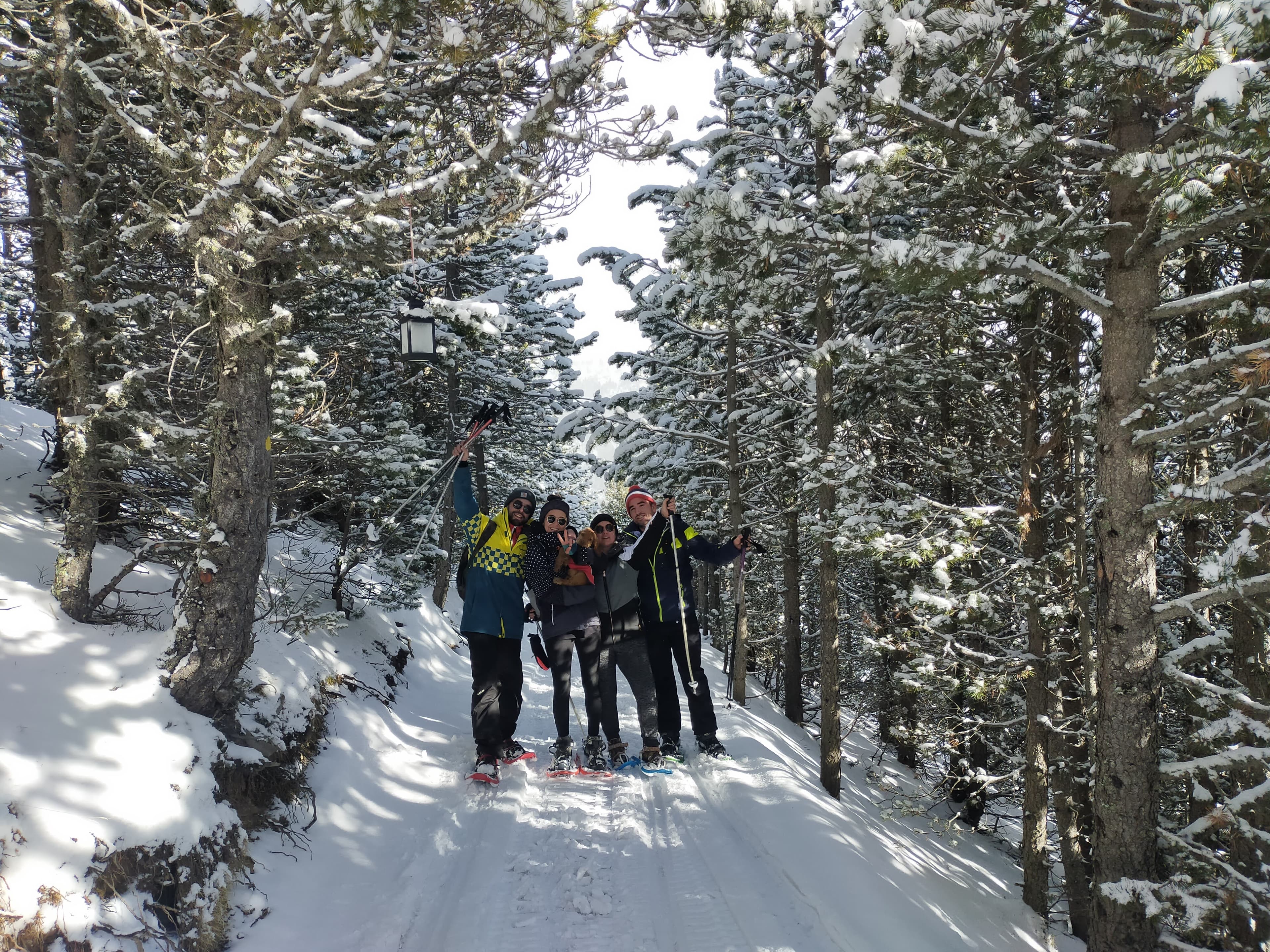 Excursió amb raquetes de neu, esmorzar i tornada en buggy d'erugues a les Bordes del Cardemeller